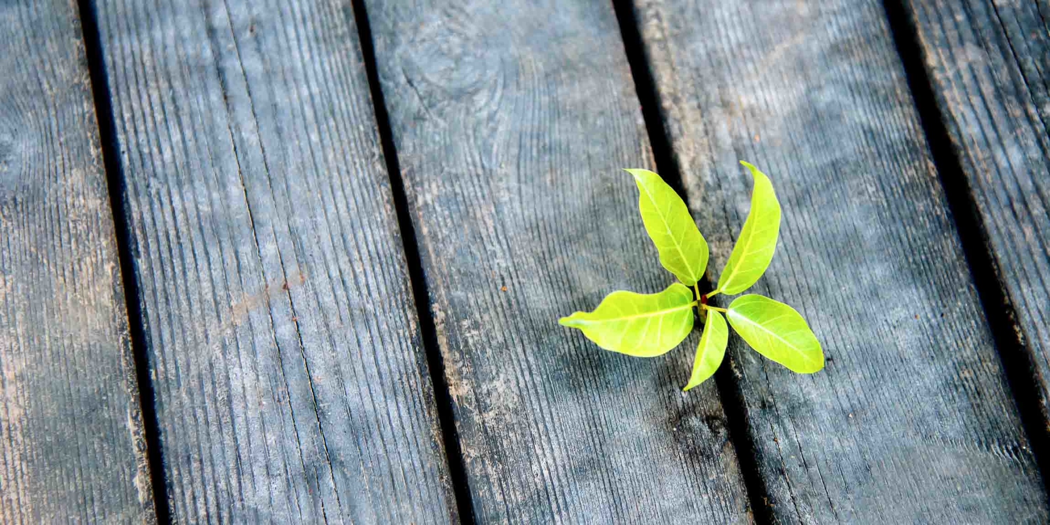 motivation-idee-neu